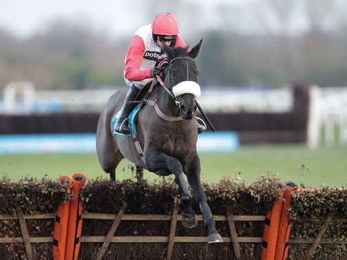 Big Buck's: Newbury target