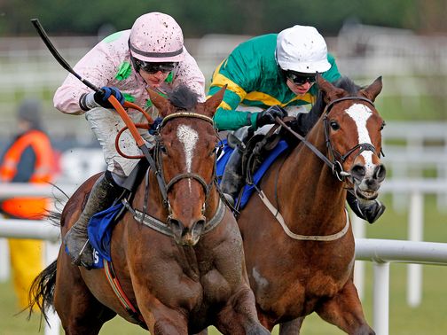 Blood Cotil: Faces tough test against stablemate on Saturday