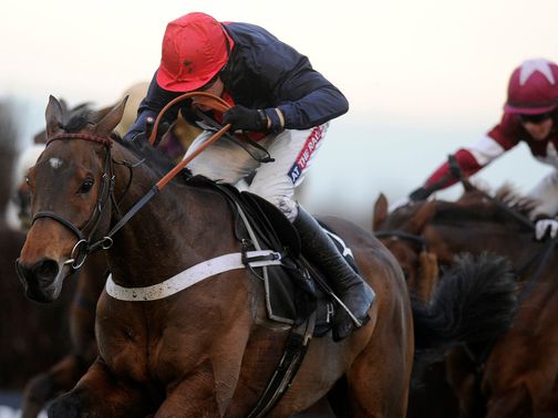 Bobs Worth: Could head straight to the Gold Cup