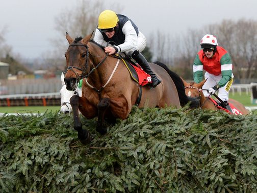 Hello Bud: Taken his Aintree exertions well