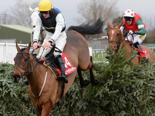 Hello Bud: Loves the Aintree fences