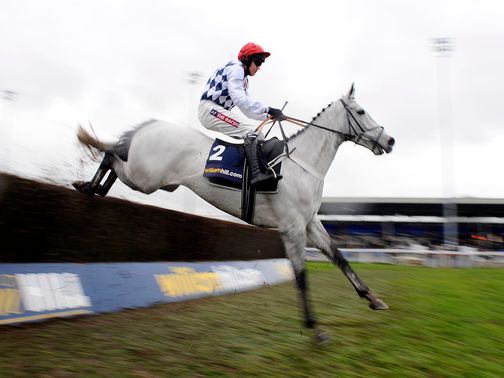 Simonsig: Ruled out of the Betfair Super Saturday Chase at Newbury