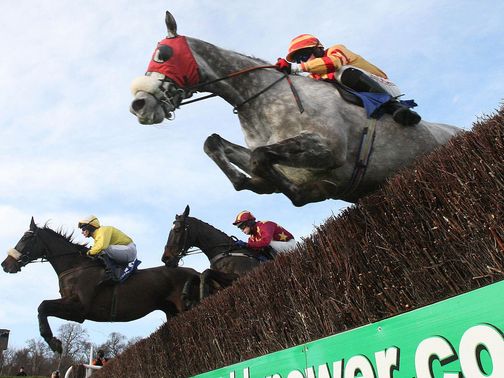 Leopardstown: Fit to race this afternoon