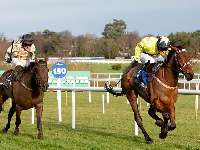 Anonis: Runs at Clonmel on Thursday