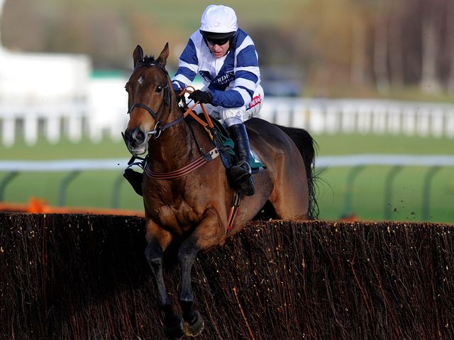 Highland Lodge jumps to victory at Cheltenham