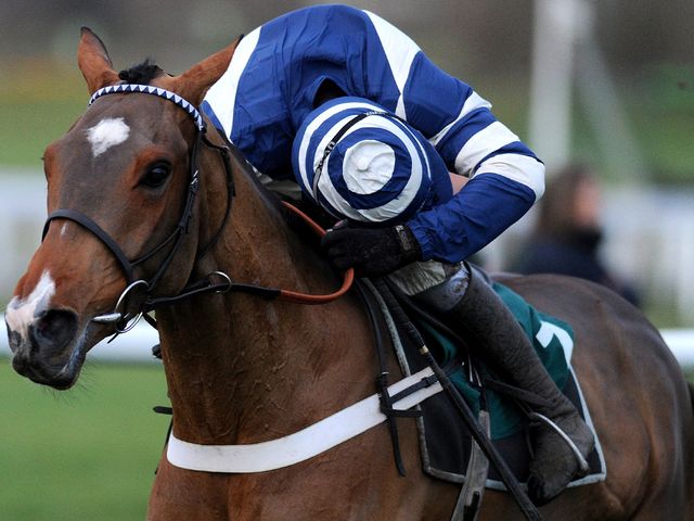 Oscar Whisky: Ran out an easy winner at Cheltenham