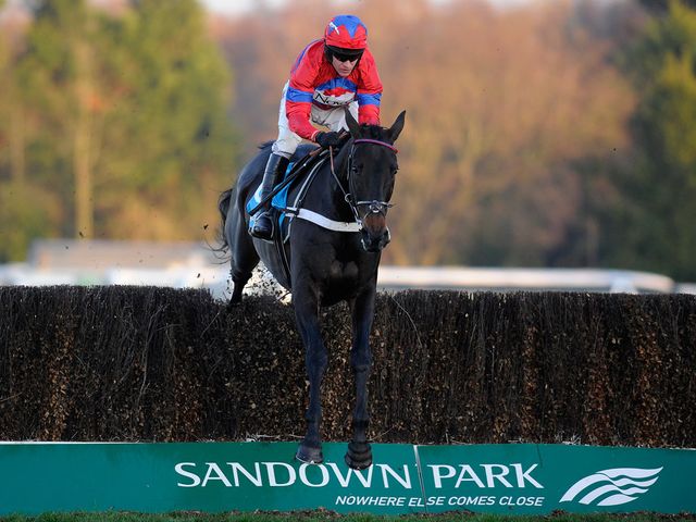Sprinter Sacre: Tops decs for Victor Chandler Chase
