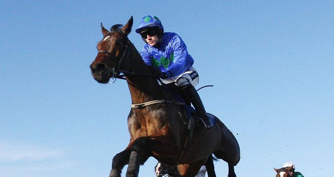 Hurricane Fly: Easy winner at Leopardstown