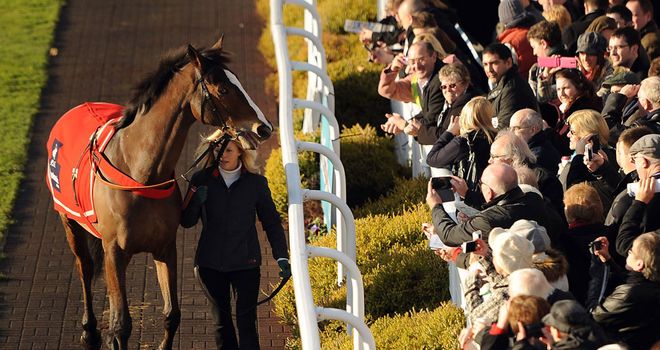 Kauto Star: Impressed his new rider as he begins new life