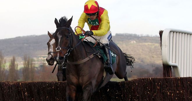 Cheltenham: Goes ahead