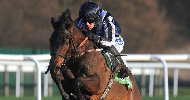 Countrywide Flame: Could head to Kelso before Cheltenham