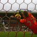 Simon Mignolet pulls off a great save from Jermain Defoe after Gareth Bale puts it on a plate for the England striker. The game finishes 2-1 to Spurs.