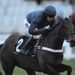 Captain Cutter wins the closing bumper for the Seven Barrows team