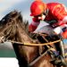 ...and completely routs his rivals under Ruby Walsh