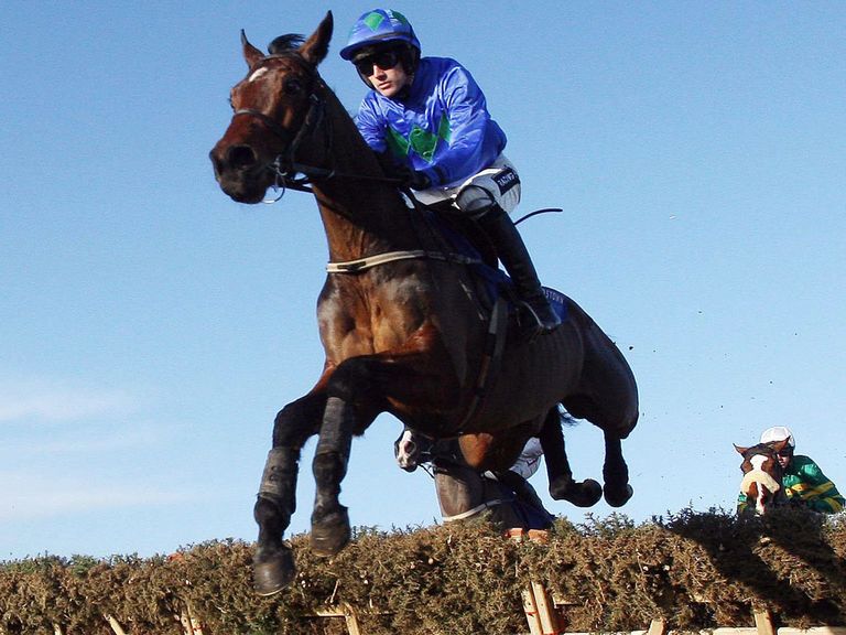 Hurricane Fly: Heads the market with the sponsors