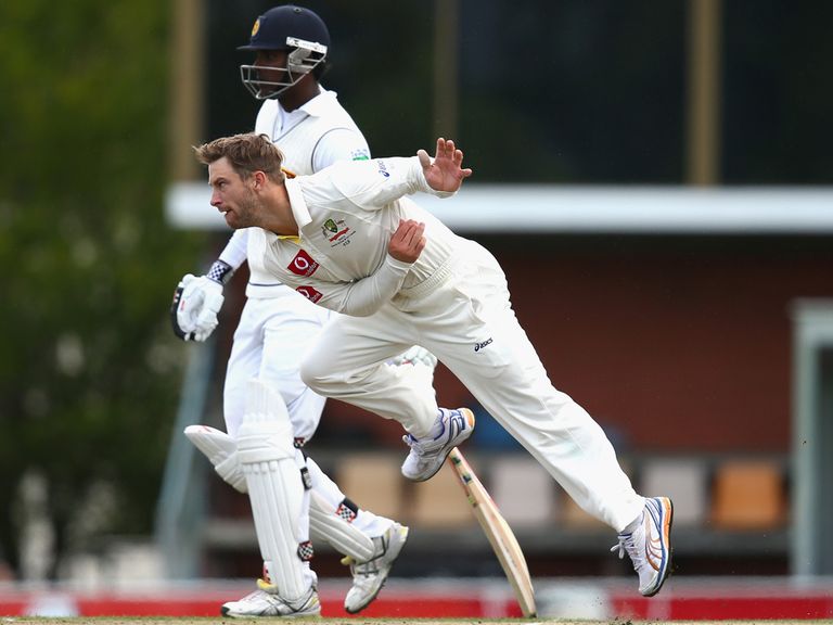 Matthew Wade: Turned his arm over in Hobart