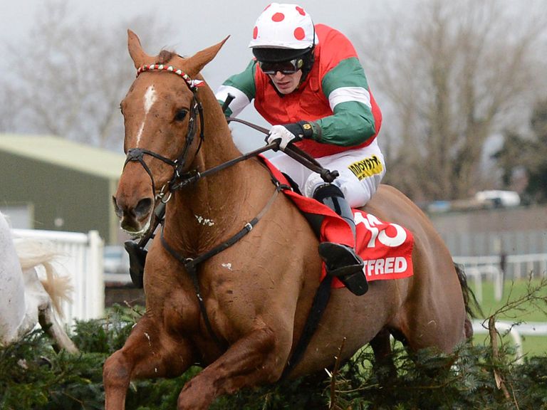 Gullible Gordon: Looks a decent bet in the Topham
