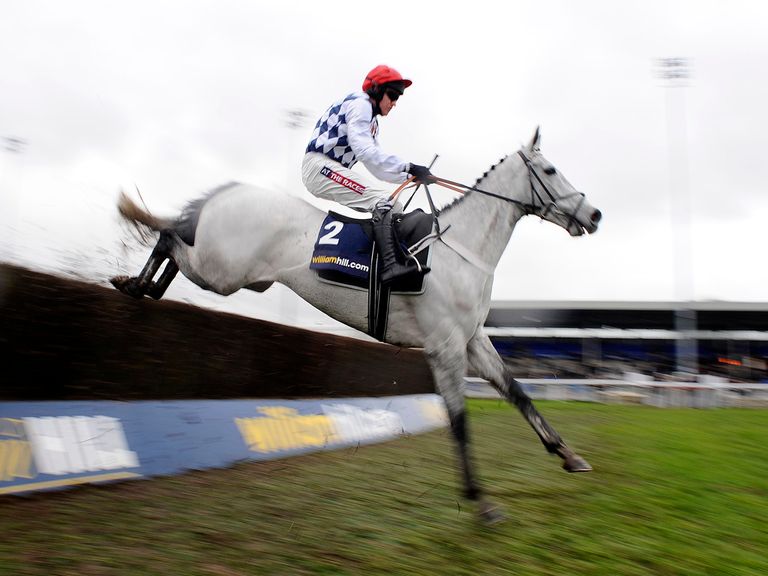 Simonsig: Heads 21 possible Arkle runners