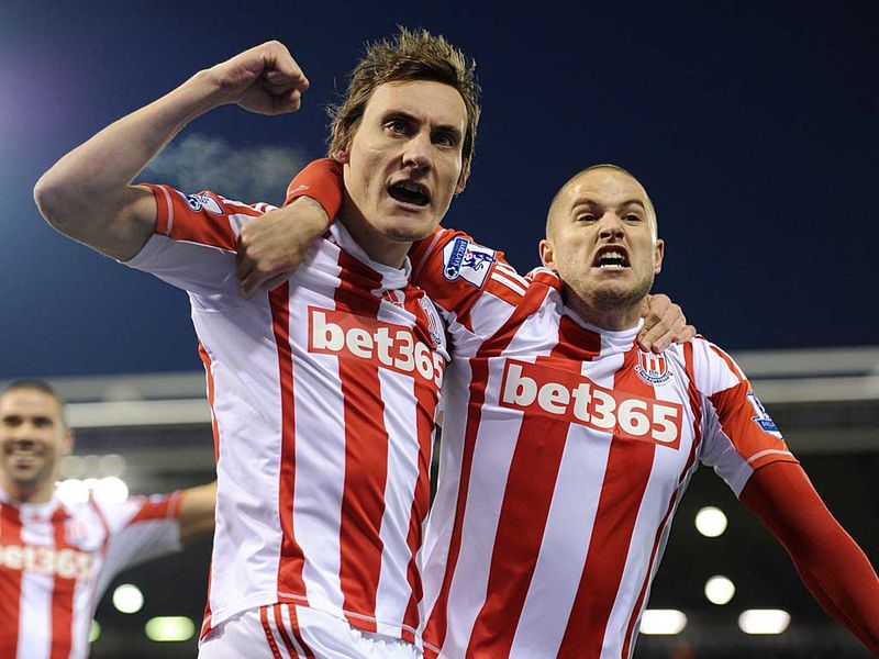 Dean Whitehead struck the only goal in Stoke's 1-0 victory at West Brom