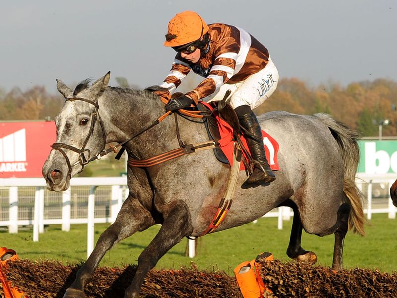 Kentford Grey Lady won the mares' handicap hurdle