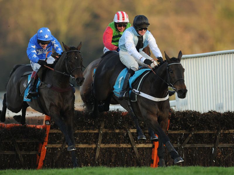 Petit Robin gamely returning to winning ways