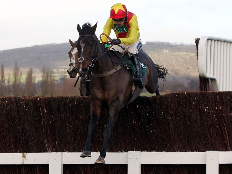 Shooters Wood got back up under Ruby Walsh in a thriller