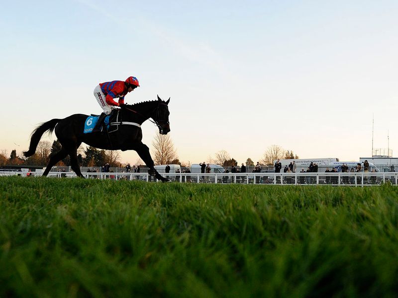 ...and he's as short as 2/5 for the Champion Chase