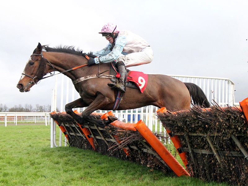 Tweedlerum wins the mares' hurdle for Tom Symonds and Ben Poste