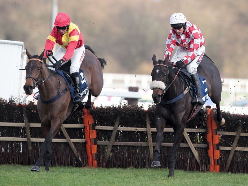 Puffin Billy jumps past Up To Something at the last in the novice hurdle...