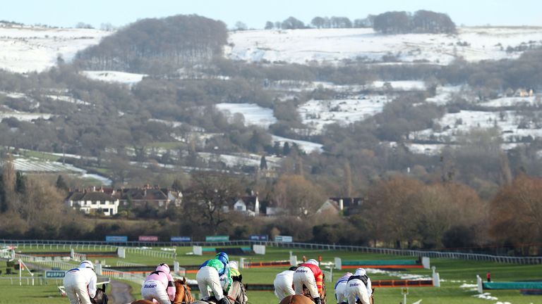 Jonjo O'Neill's Shutthefrontdoor may not line up at Cheltenham