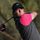 Rory McIlroy