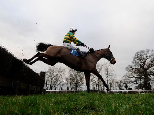 Taunton: Looks main hope for turf racing on Saturday