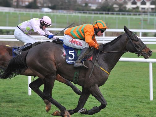 Texas Jack: Set to skip Cheltenham