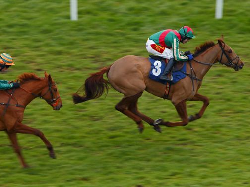 Vieux Lion Rouge wins the bumper in tenacious style&nbsp;