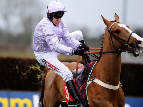 Tetlami is expected to get back on the winning trail