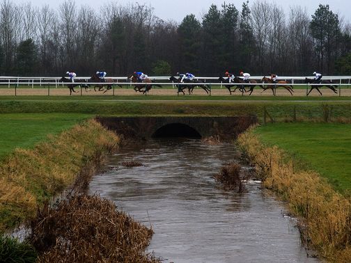 Lingfield: Tuesday card subject to inspection