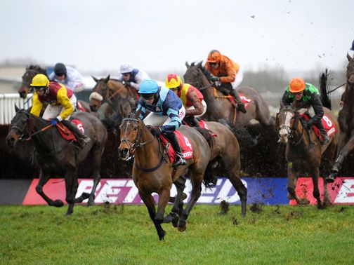 Pete The Feat: Will be entered in Warwick feature