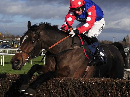 Rocky Creek: Puts Cheltenham credentials on the line