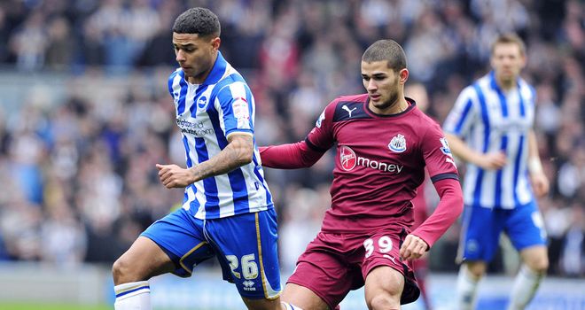 Liam Bridcutt (left): Praised by Brighton boss Poyet