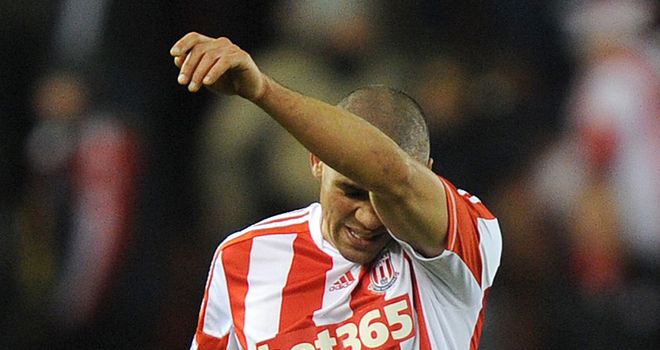Jon Walters: Praised by Stoke manager Tony Pulis