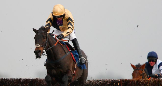 Fago: Impressed on his debut over fences and entered in the Jewson