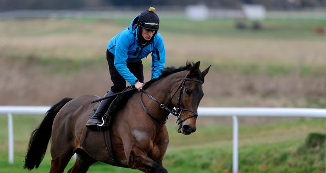 Imperial Commander: Could have another racecourse gallop