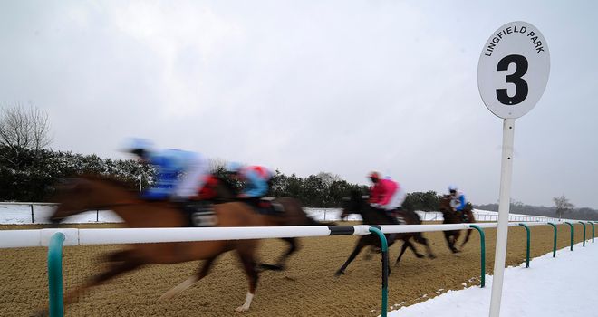 Lingfield: Card has beaten the snow again
