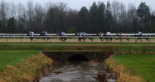Horses in action on the all-weather at Lingfield