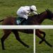 Mr Watson won the last under AP McCoy