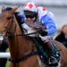 Reve de Sivola just held on from Oscar Whisky in the Cleeve Hurdle