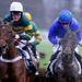 Binocular and Hurricane Fly are the star names in the Irish Champion...