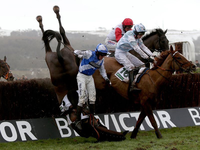 One of Katenko's main rivals, Bold Sir Brian, took this crashing fall (he got up fine)