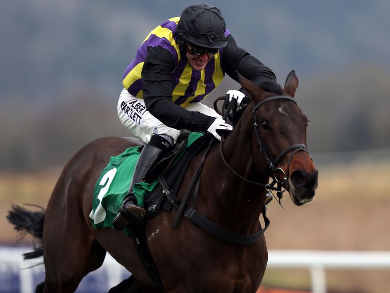 ...O'Faolains Boy makes a winning hurdling debut for AP McCoy