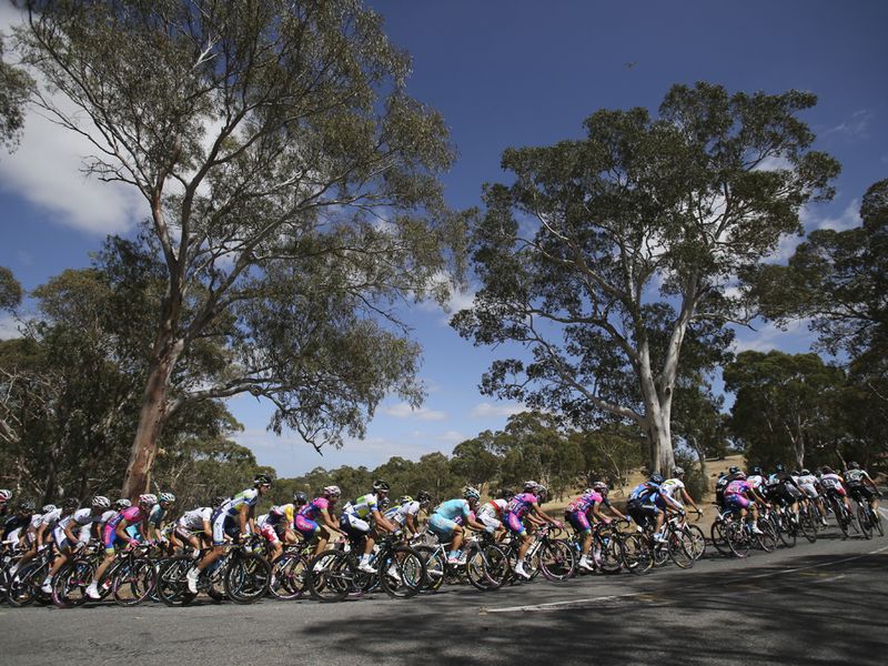 The stage was more straightforward than Wednesday's on paper but the peloton was still nervous at times